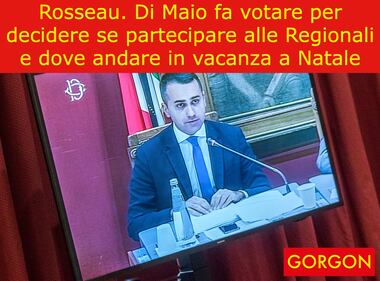 Ecco la satira del giorno: M5S chiamati ancora al voto 1
