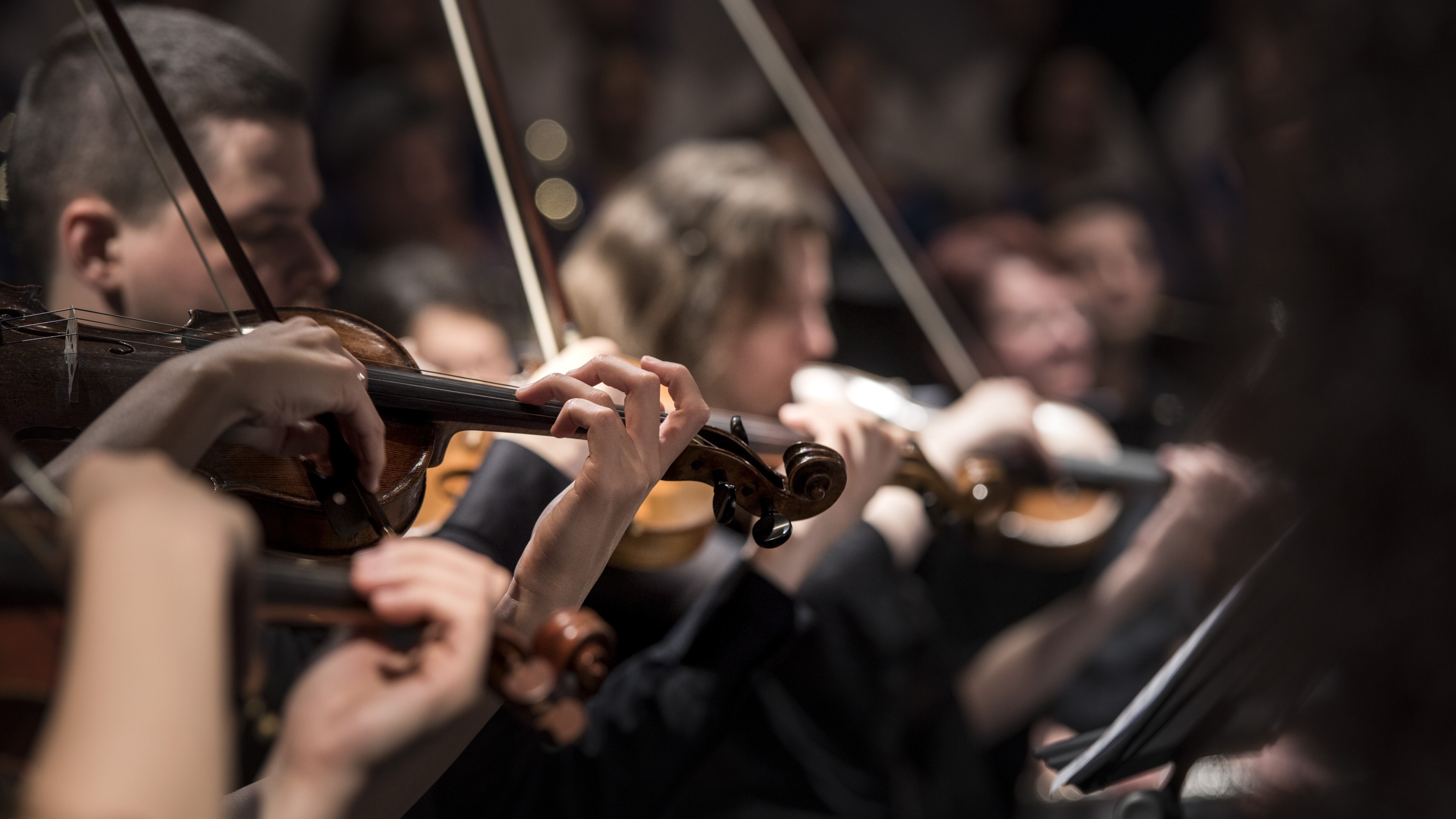 "Oggi la musica classica non può più stare nella torre d'avorio"