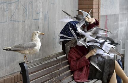 Benvenuti a Dismaland, il tetro parco giochi di Banksy 14