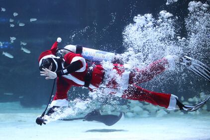 Babbo Natale nuota coi pesci 9