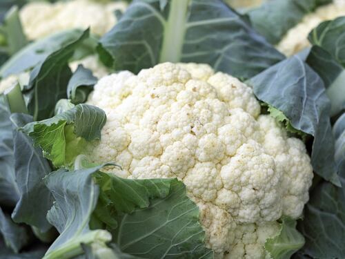 Cavolfiore, proprietà e benefici di questo antico ortaggio