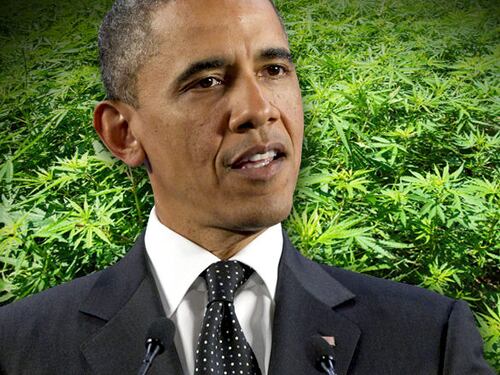 Obama: "La marijuana va trattata come sigarette e alcool"