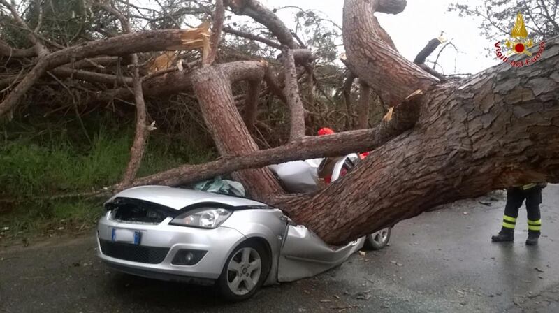 Maltempo a Roma, cade albero su auto 1