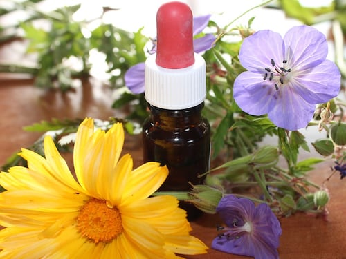 Rodiola, potente antistress e ansiolitico naturale
