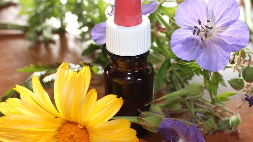 Rodiola, potente antistress e ansiolitico naturale