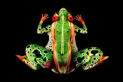 Johannes Stötter, il campione di body painting 2