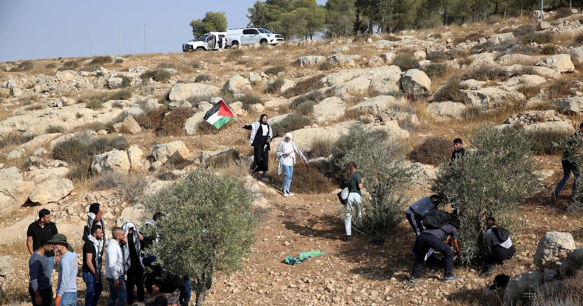 Israel expulsará a cinco activistas italianas detenidas en Cisjordania