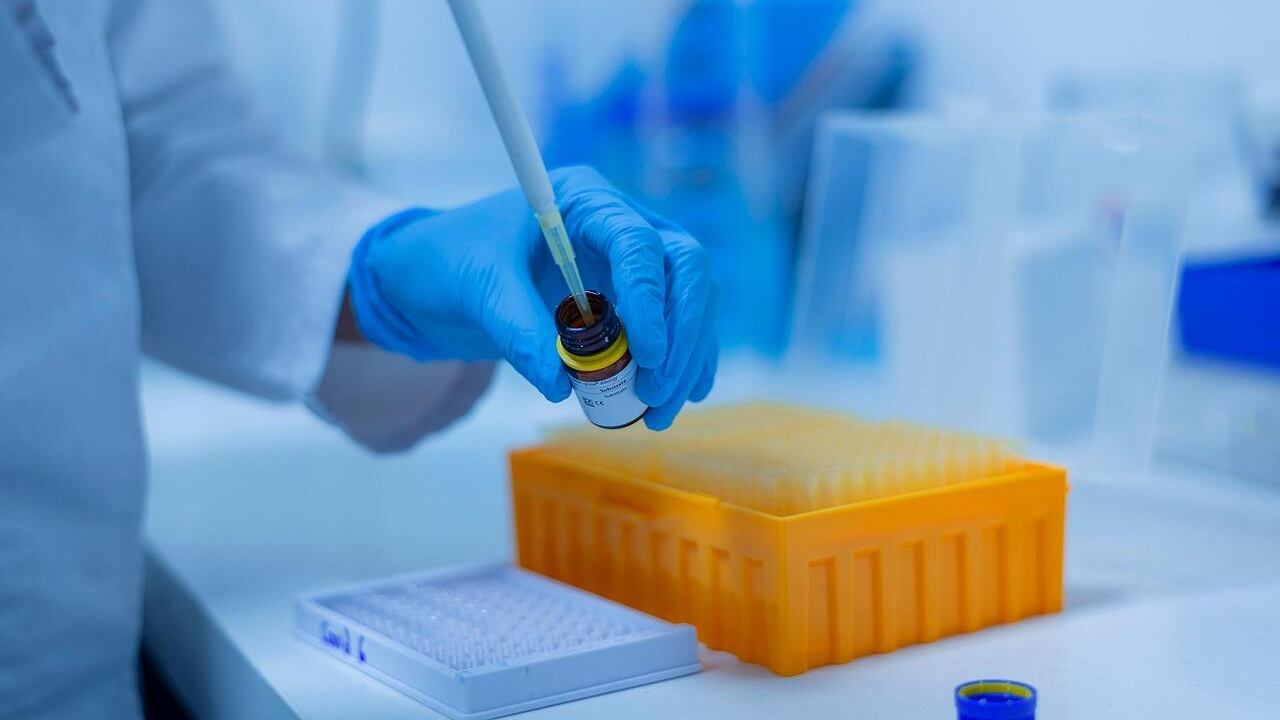 Alzheimer, aumentare i livelli di una molecola chiave protegge dalla malattia