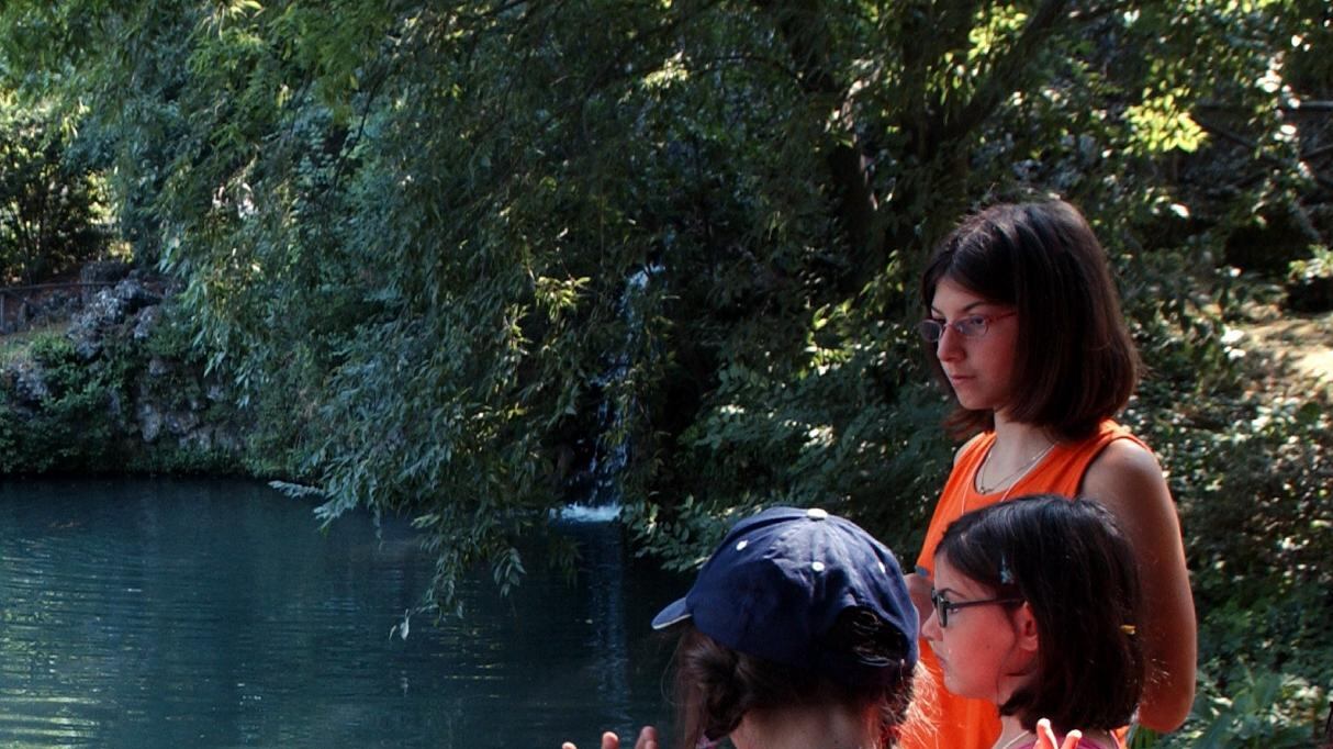 Il giardino da sogno diventa un incubo tra i topi e le zanzare