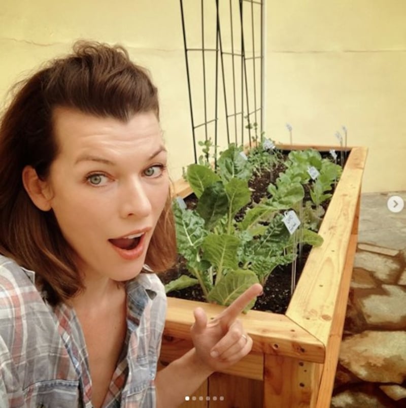 Milla Jovovich, le foto più sexy 8