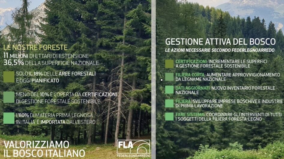 Federlegno: "Uso a cascata delle foreste per creare valore e sostenibilità"
