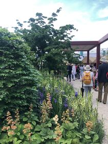 Giardini Arte Fiori Forte GAFF: il giardino che fiorisce dal mare 3