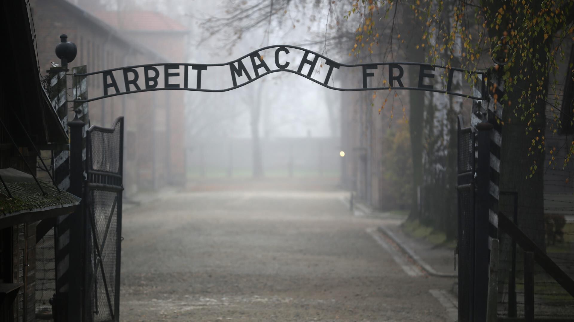 Il film antinazista gratis fa infuriare AfD