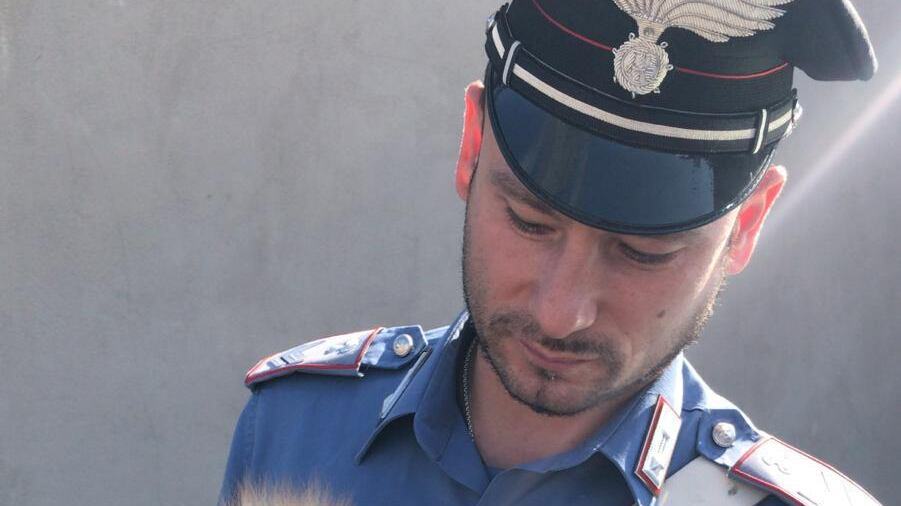 Ruba un cucciolo e lo nasconde in borsa, arrestata