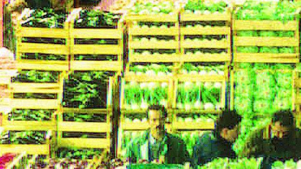 Ortomercato in tilt: maxi cause in arrivo e danni milionari