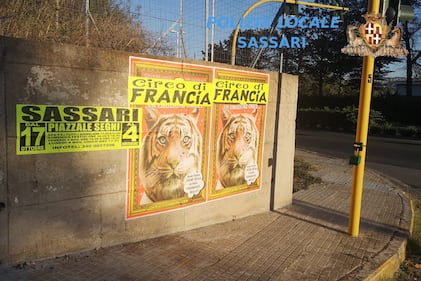 Sassari, manifesti affissi abusivamente in città 3