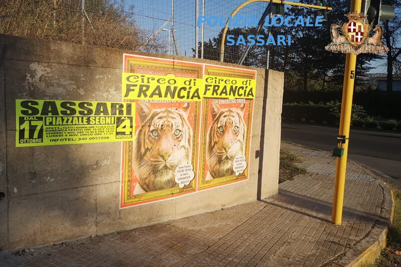 Sassari, manifesti affissi abusivamente in città 3