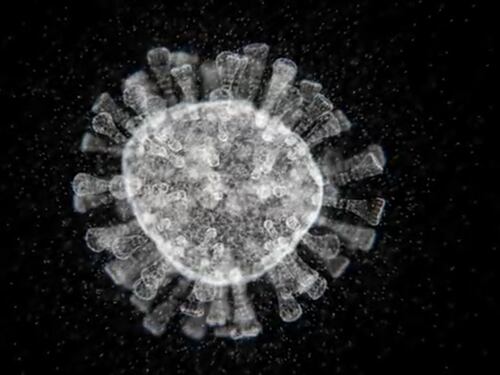 Il coronavirus sta diventando meno aggressivo? Ecco cosa dicono gli esperti
