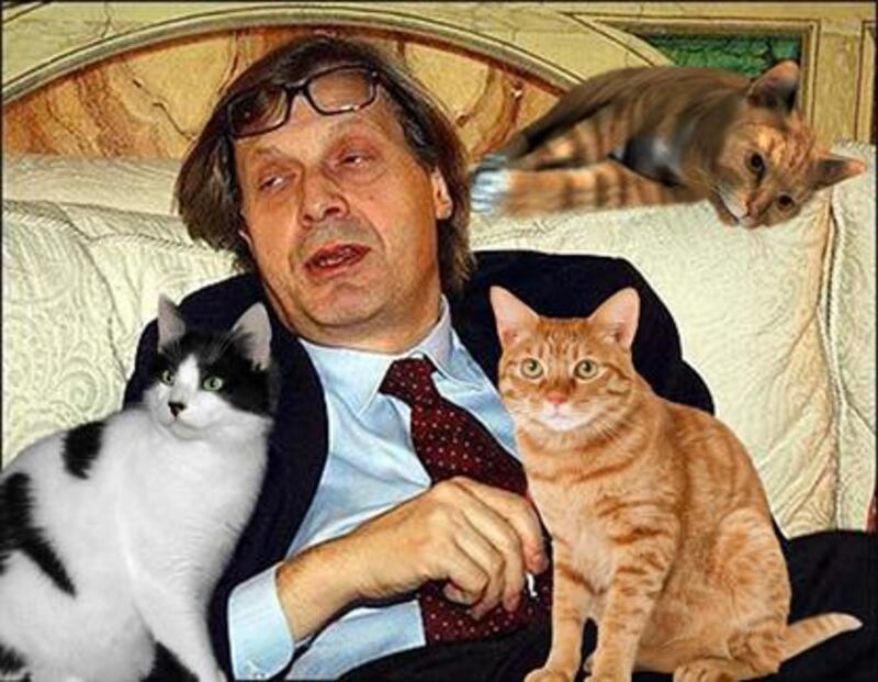 Vittorio Sgarbi invaso da immagini di gatti 12
