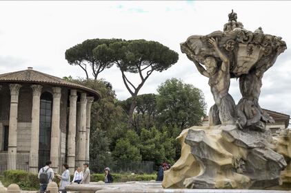 Le meraviglie di Roma: i pini marittimi in città 13