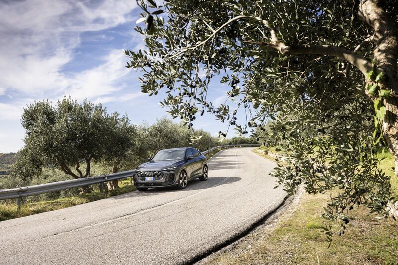 Audi Q5 e-hybrid: guarda la gallery 17