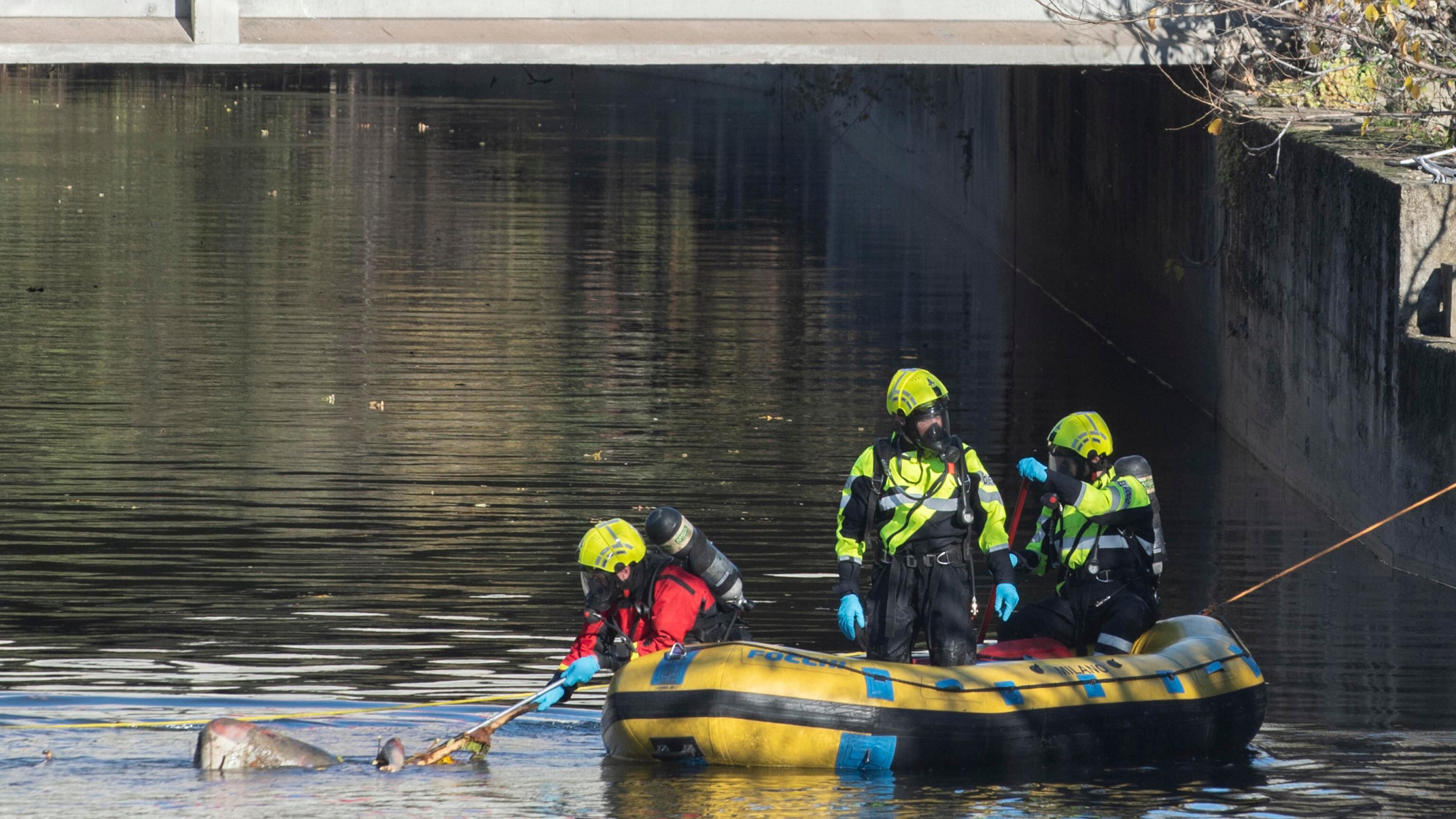 Milano, trovato un cadavere nel fiume Lambro. "È di un uomo"