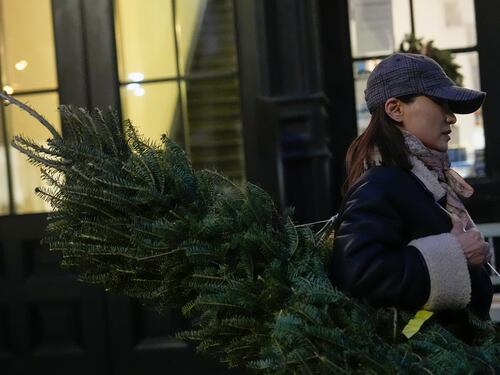 "Non sono commestibili", il folle allarme per le "ricette" con l'albero di Natale