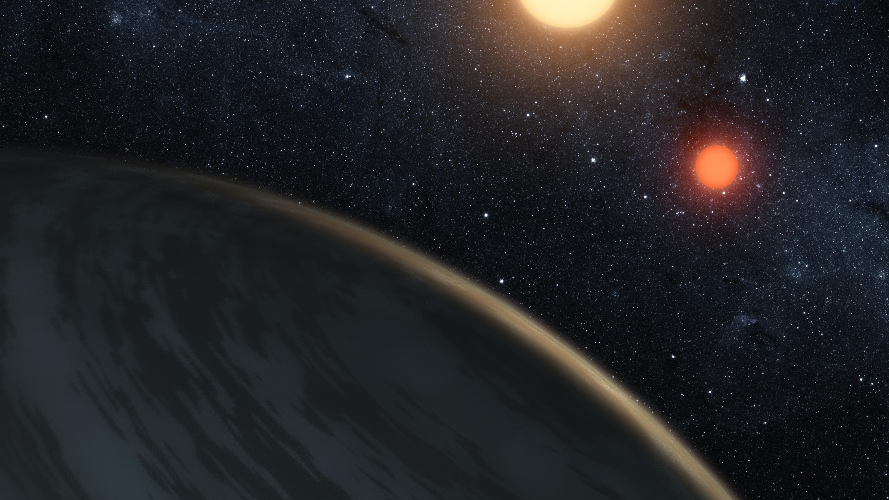 Terra, l'allarme degli scienziati: "Ecco data dell'estinzione di massa"