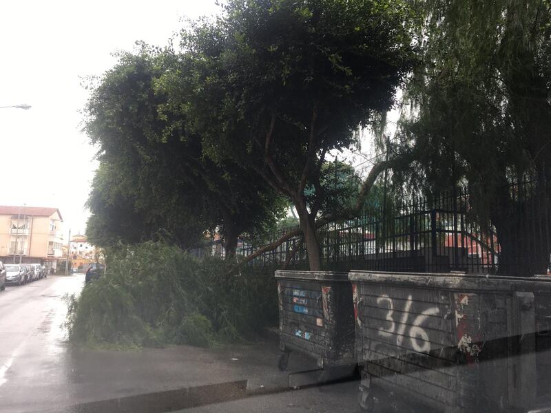 Alberi sradicati, tettoie divelte: l'incubo del vento in Sicilia 3