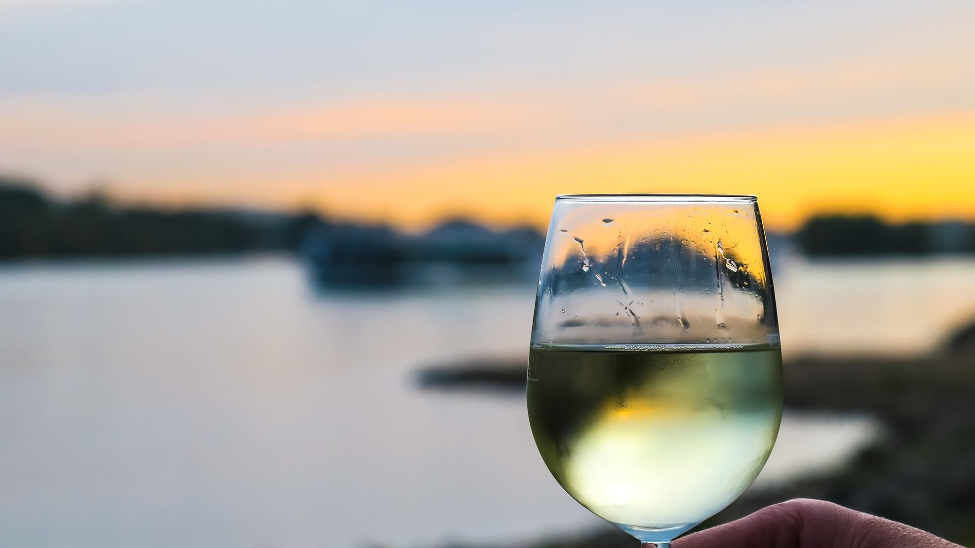 Vini bianchi piemontesi: le etichette più pregiate