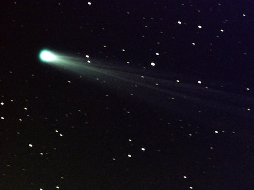 La stella cometa Ison illuminerà il prossimo Natale?
