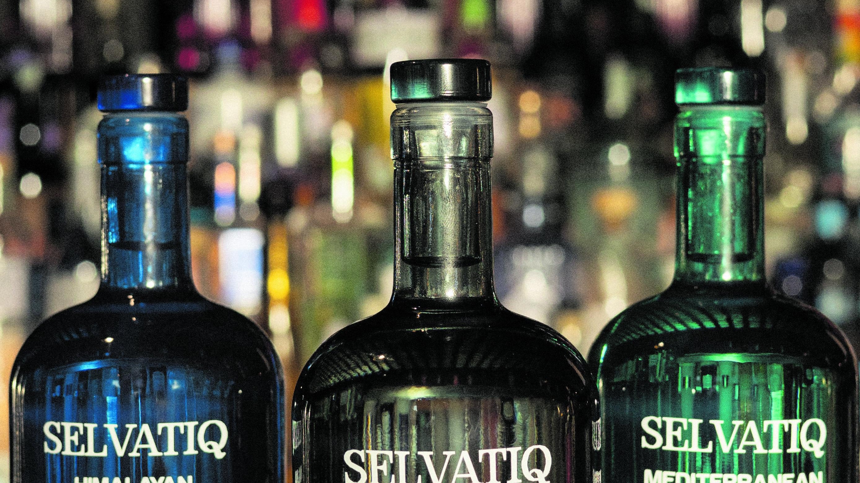 Selvatiq gin, giro del mondo in tre ginepri