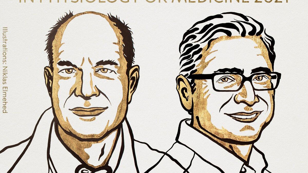 Il Nobel per la Medicina a chi ha svelato i "segreti" dei sensi