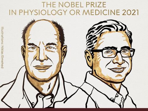 Il Nobel per la Medicina a chi ha svelato i "segreti" dei sensi