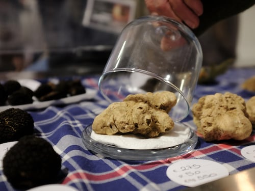 La tentazione irresistibile di una grattugiata di tartufo