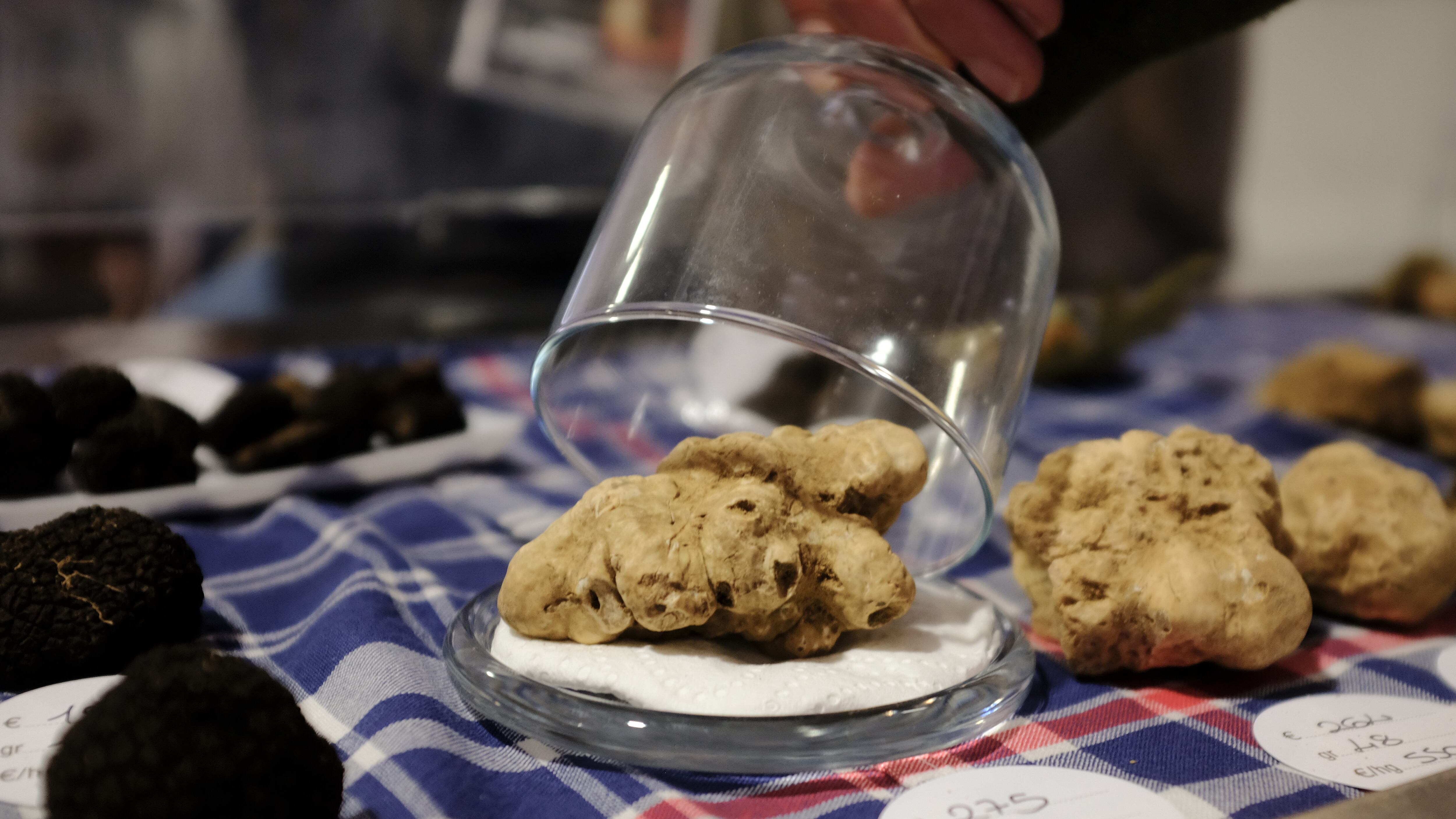 La tentazione irresistibile di una grattugiata di tartufo