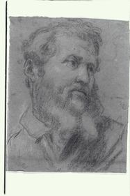 I presunti disegni di Michelangelo 1