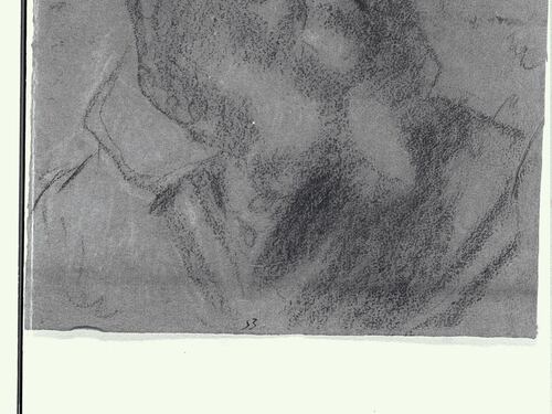 I presunti disegni di Michelangelo