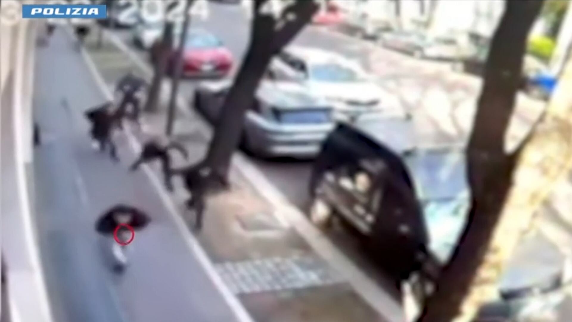 La rapina e la testata alla poliziotto. Presi altri due nordafricani