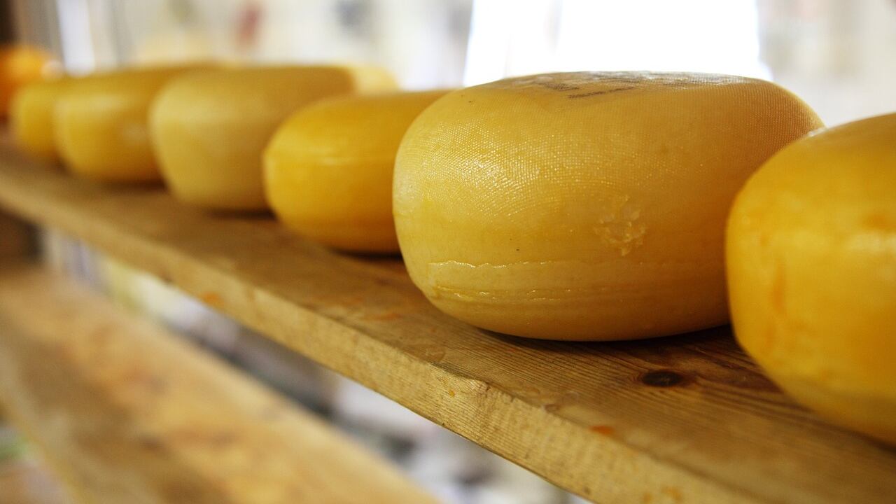 "Come l'eroina", ecco perché il formaggio crea dipendenza: lo studio