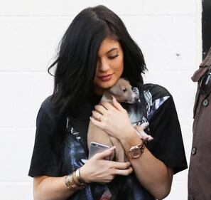 Kylie Jenner: curve in mostra su Instagram 16
