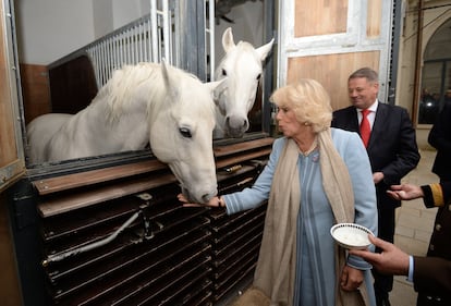 Carlo e Camilla alla Scuola di equitazione spagnola di Vienna 6