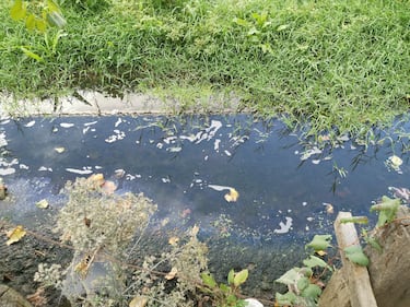 Lungo il corso del fiume Sarno 4