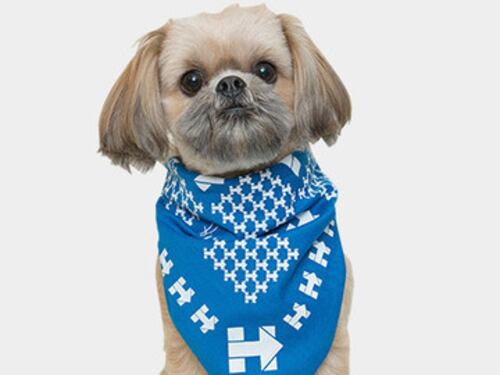 I gadget di Hillary Clinton
