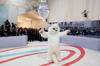 L'omaggio felino a Lagerfeld di Jared Ledo (e gli altri) 3