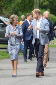 Paesi Bassi: il duca di Sussex in visita ufficiale  7