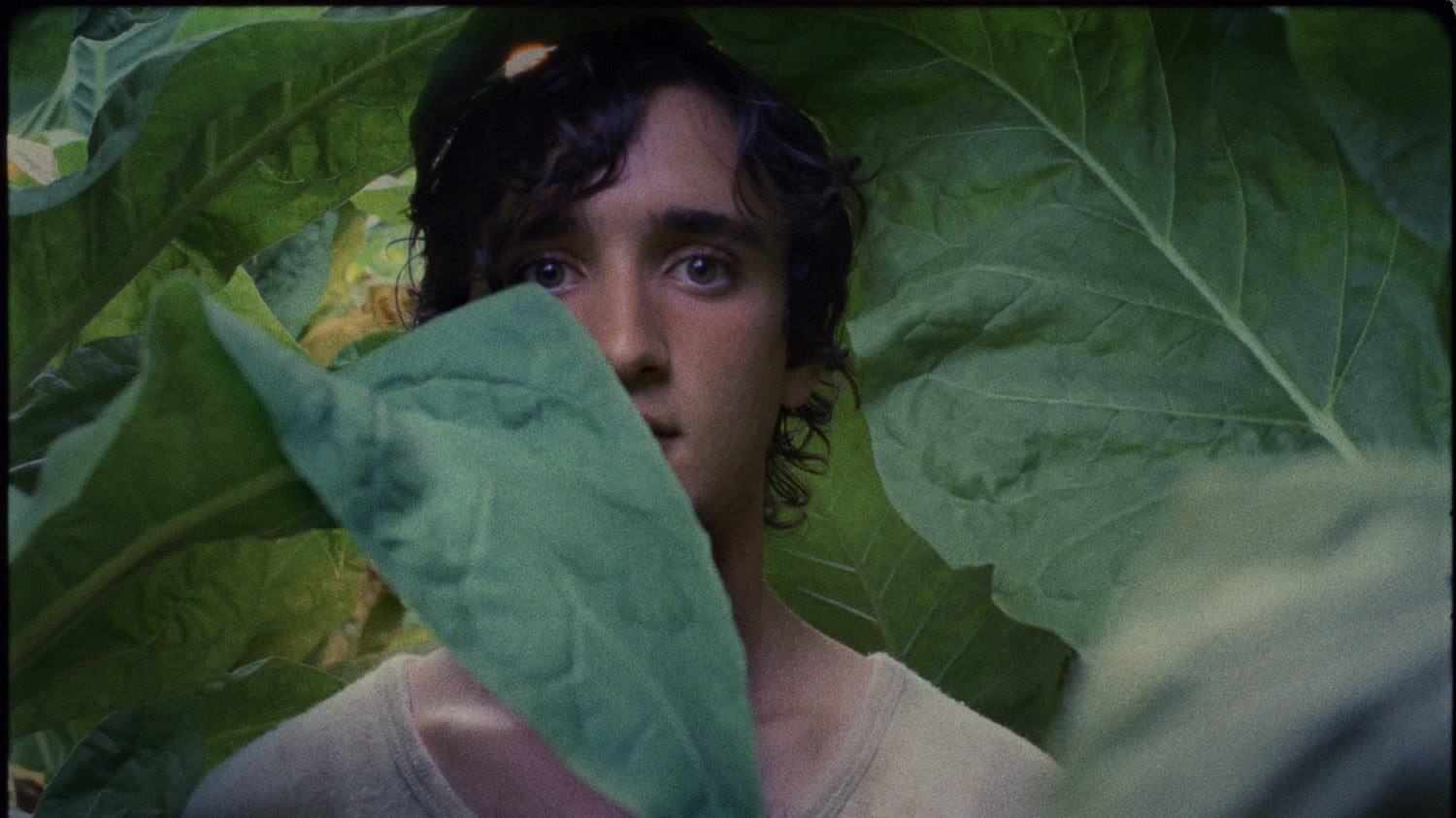 Al cinema "Lazzaro Felice", non è un paese per santi