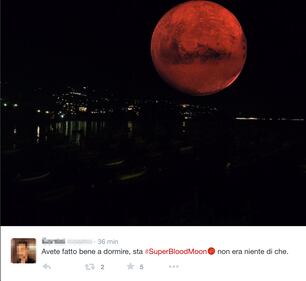 L'eclissi di superluna, foto e impressioni 17