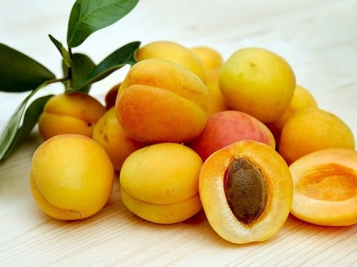 Albicocche, proprietà e benefici di questo frutto delizioso