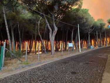 Gli incendi divampano sul Vesuvio 2